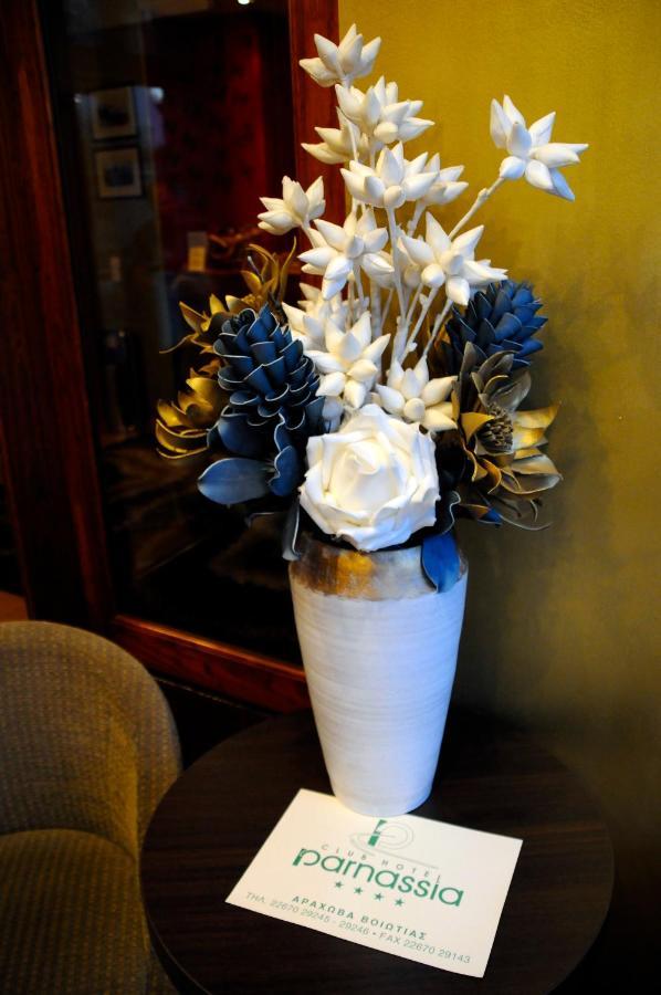Boutique Hotel Parnassia Arachova Luaran gambar